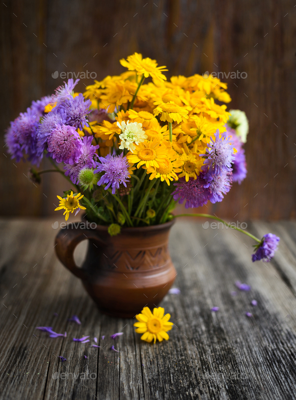 Bouquet of wildflowers (Anthemis tinctoria and Knautia arvensis) - Stock Photo - Images
