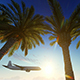 Airplane Flying Over Tropical Palm Tree - VideoHive Item for Sale