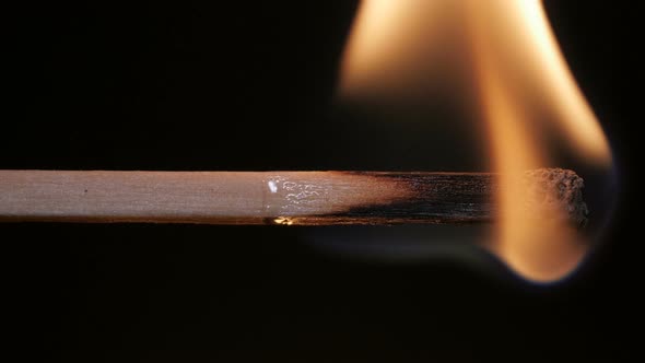 Burning Match on Black Background in Macro
