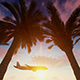 Airplane At Sunset - VideoHive Item for Sale