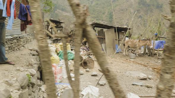 Nepalese Village Manaslu Mountain Circuit Trek alt