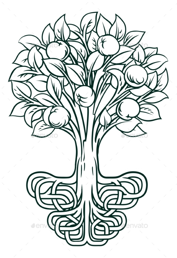fruit tree with roots clip art
