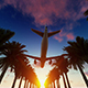 Palm Trees and Airplane - VideoHive Item for Sale