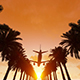 Plane Flying Over Palm Trees - VideoHive Item for Sale