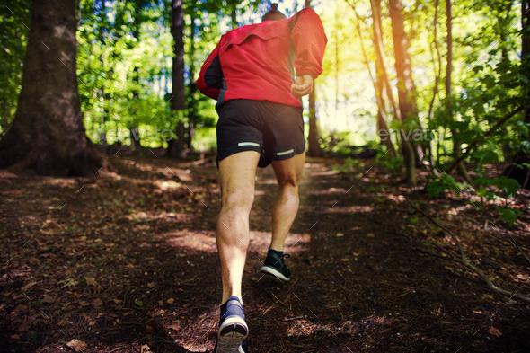Fit young man running up a path in the forest Stock Photo by UberImages