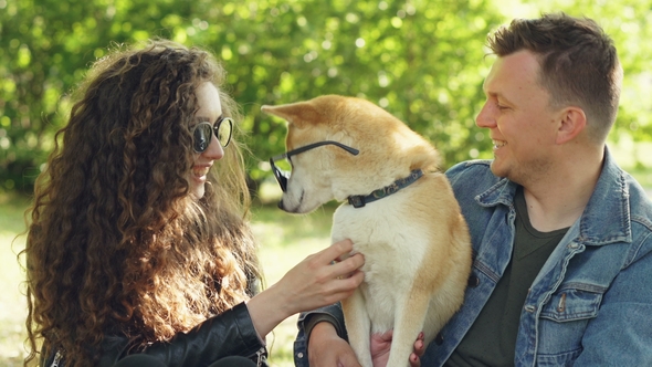 Attractive Woman and Her Husband Are Playing with Dog Putting Sunglasses on It, Caressing Its Fur alt