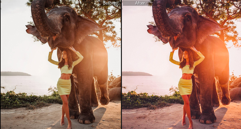 16 Pro VSCO Lightroom Presets