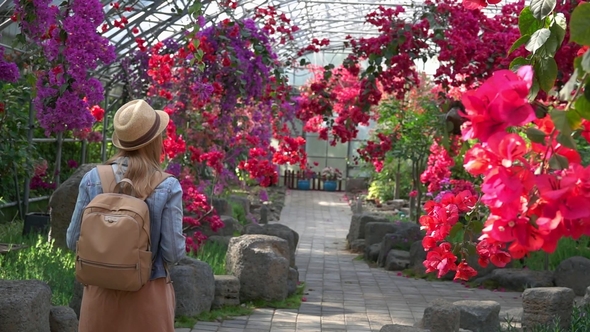 Young Woman Visiting Flower Garden. Female Tourist Walking at Botanical Park with Greenhouse with alt