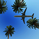 Airliner Passing Over Palm Trees - VideoHive Item for Sale