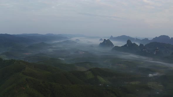 Fog In The Morning alt