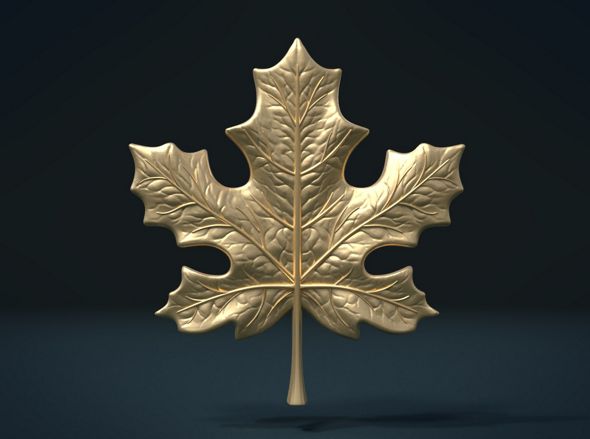 Maple Leaf - 3Docean 22190685