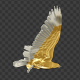American Eagle - USA Flag - Flying Transition - V - 194