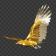 American Eagle - USA Flag - Flying Transition - V - 192