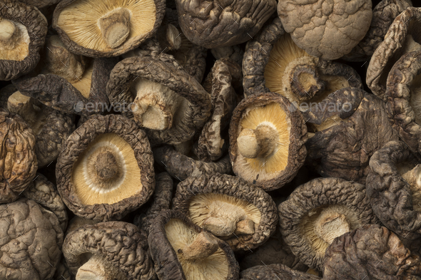 Dried shiitake mushrooms Stock Photo by picturepartners | PhotoDune