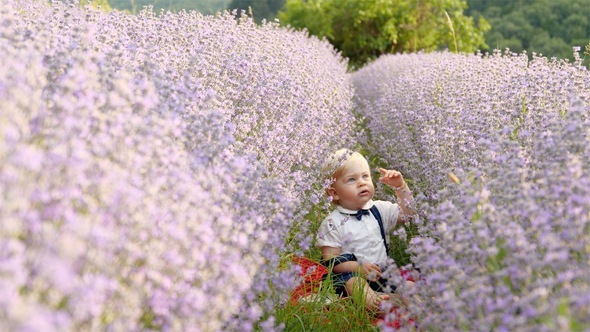 Children in Lavender Fields