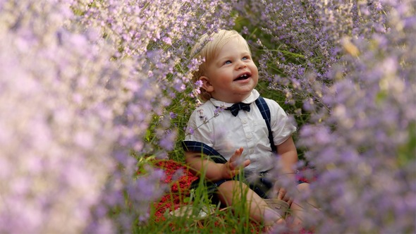 Handsome Children in Lavender