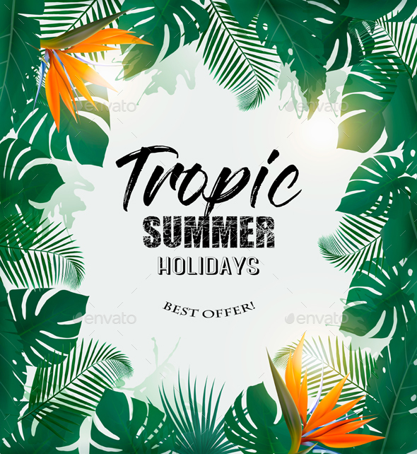 Summer Holiday Background With Tropical Plants - Flowers & Plants Nature