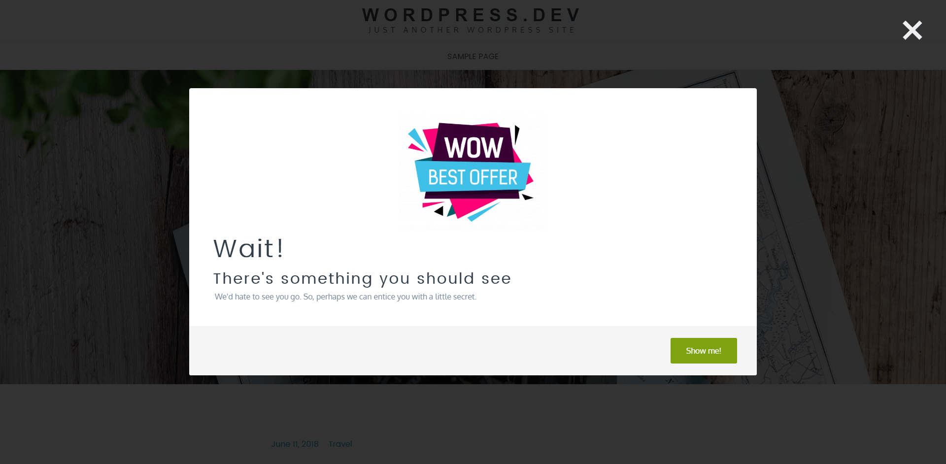 01 exit modal window - WP Exodus: ข้อความทางการตลาดปรากฏขึ้นเมื่อผู้เยี่ยมชมพยายามออกจากเว็บไซต์ของคุณ สร้างเว็บไซต์, ปลั๊กอิน เว็บขายของ, ปลั๊กอิน ร้านค้า, ปลั๊กอิน wordpress, ปลั๊กอิน woocommerce, ทำเว็บไซต์, ซื้อปลั๊กอิน, ซื้อ plugin wordpress, wp plugins, wp plug-in, wp, wordpress plugin, wordpress marketing, wordpress, woocommerce plugin, woocommerce, visitor conversion, ux, prevent site exit, plugin ดีๆ, modal, marketing plugin, exit intent, codecanyon, audible alert, ads