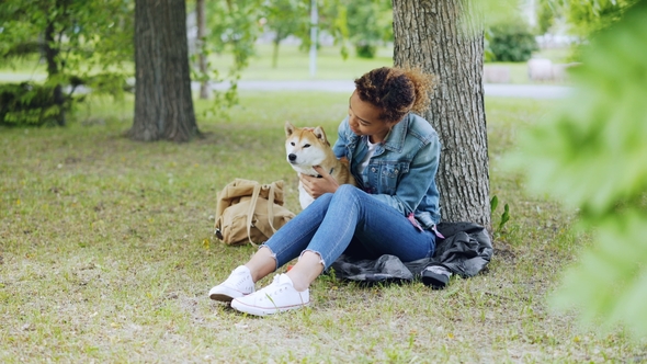 Happy Dog Owner Attractive African American Girl Is Stroking Her Purebred Dog and Talking To It alt