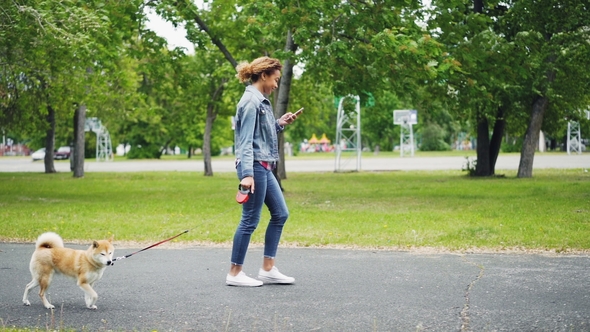 of Cheerful African American Girl Walking Her Pedigree Dog in City Park and Using Smartphone Going alt