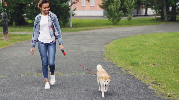 Dolly Shot of African American Girl Walking Well-bred Puppy in Green Park with Trees and Lawns alt
