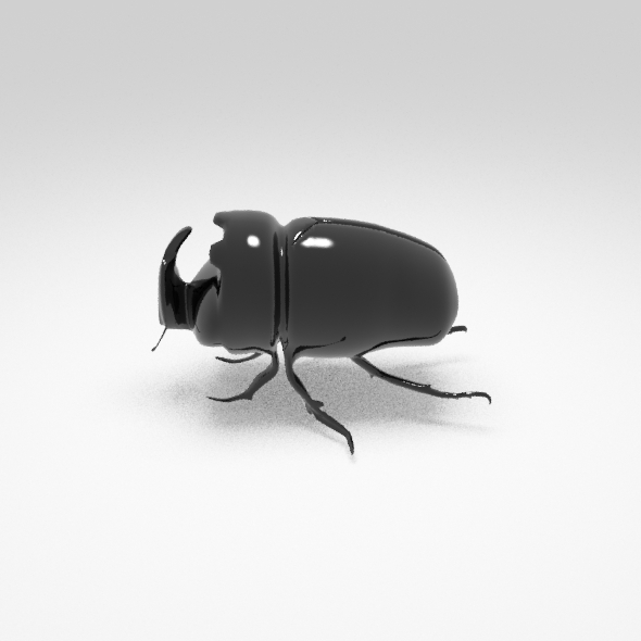 beetle - 3Docean 22217204