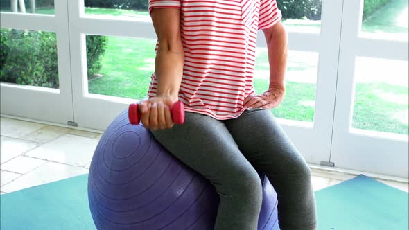 Senior woman exercising with dumbbell at home alt