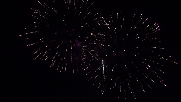 Beautiful Festive Multicolored Fireworks In the Night Sky