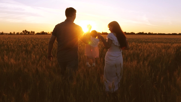 Child with His Parents Walks Field with Wheat in Rays of Golden Sunset alt