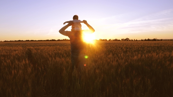 Dad Carries a Small Baby on His Shoulders Against the Background of a Golden Sunset in a Field alt