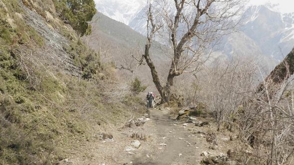 Couple Walking in Mysterious Forest Among the Mountains of Nepal alt