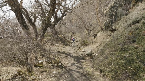 Couple Walking in Mysterious Forest Among the Mountains of Nepal alt