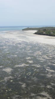Vertical Video of Low Tide in the Ocean Near the Coast of Zanzibar Tanzania alt