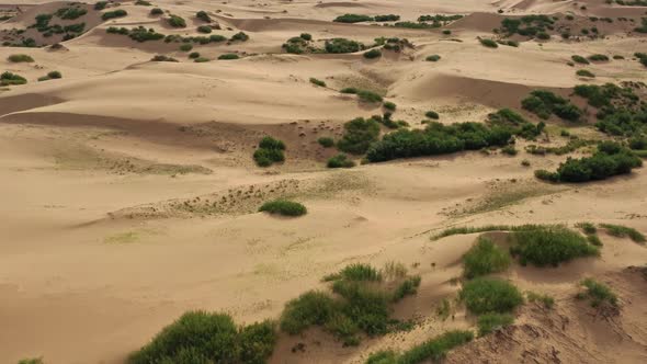 Aerial Top View on Sand Dunes with Grass alt