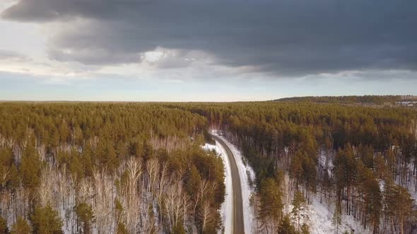 Forest Road