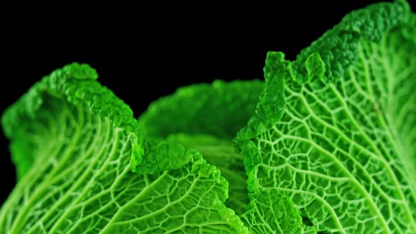 Tasty Green Leaves of Cabbage on Black Background alt