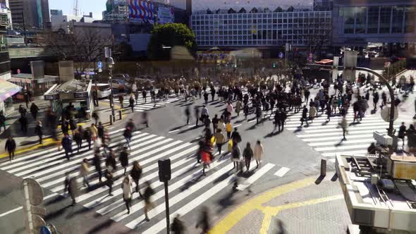 Tokyo Shibuya Crossing Day