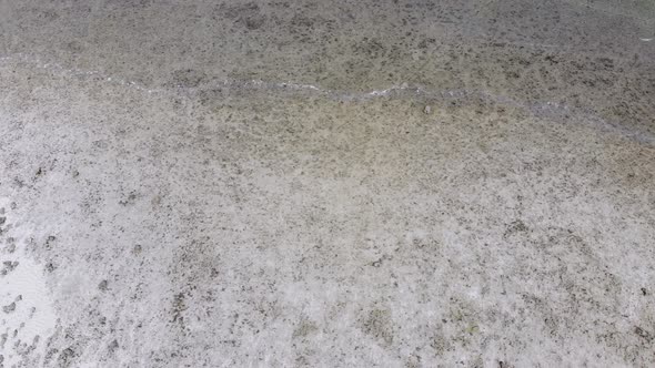 Ocean Coral Reef and Beach Shallow at Low Tide Zanzibar Matemwe Top Aerial alt
