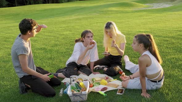 Picnic Group of Four Teens Sitting on Lawn on Grass in Park Eating Drinking Talking Having Fun alt