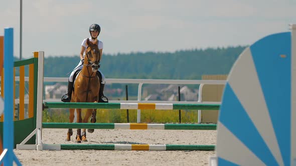 Horse Rider Jumping Over Obstacle on Outdoor Riding Arena Equestrian Sport alt
