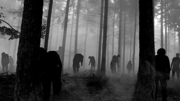 Zombies walking in the forest