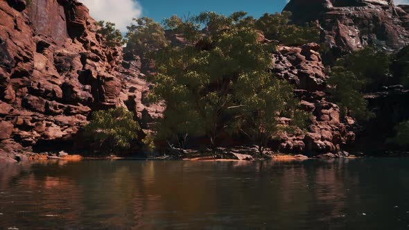 Panoramic View of Colorado River alt