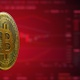 Bitcoin Bear Season Background - VideoHive Item for Sale