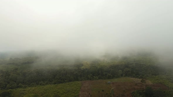 Farmland Mountains Fog alt