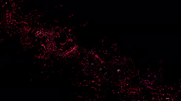 Fluid Color Movement