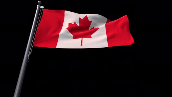 Canada Flag With Alpha Channel  4K alt
