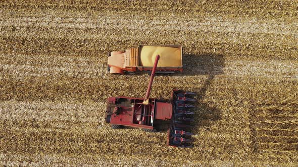 Harvester Pours Grain Into the Truck Aerial Top View alt