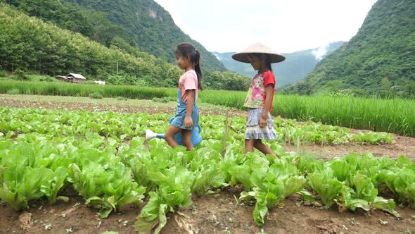 Two Little girls walking In Vegetable Garden alt