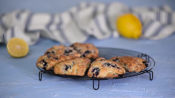 Fresh Homemade Blueberry Breakfast Scones
