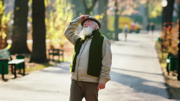 Old Man Have a Walk in the Park in Front of the alt